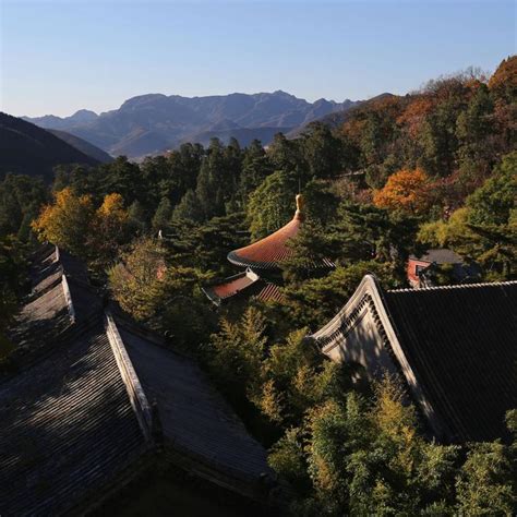 背靠山|浅谈“负阴抱阳，背山面水”与人们的居住关系